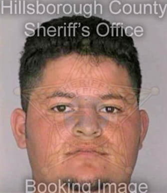 Meza David - Hillsborough County, FL 