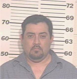 Hernandez Dennis - Hidalgo County, TX 