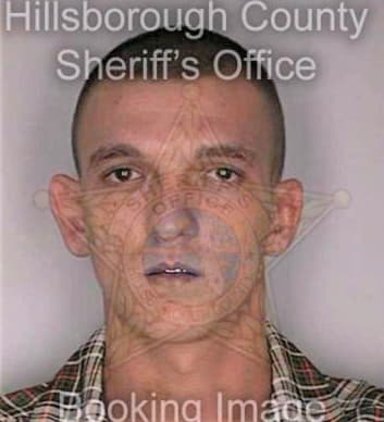 Bowman Andrew - Hillsborough County, FL 