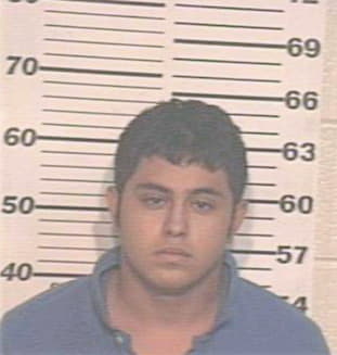 Montelongo Michael - Hidalgo County, TX 