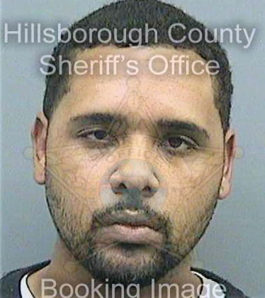 Perez Demario - Hillsborough County, FL 