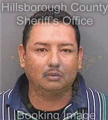 Nevares Miguel - Hillsborough County, FL 