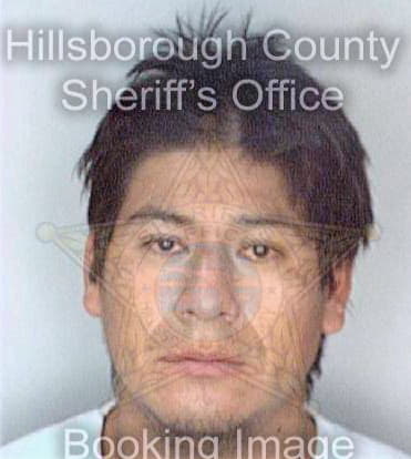 Perez Julio - Hillsborough County, FL 