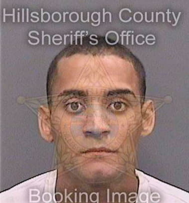 Benitezdominguez Jonatan - Hillsborough County, FL 