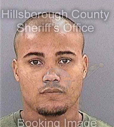 Miles Levi - Hillsborough County, FL 