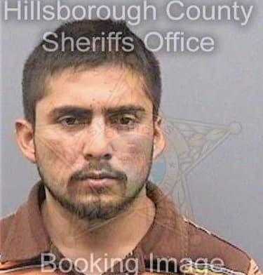 Mendozavazquez Rigoberto - Hillsborough County, FL 