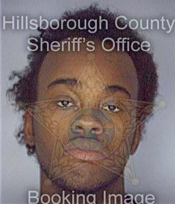 Hammond Ernest - Hillsborough County, FL 