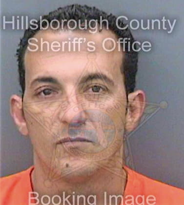 Canogonazalez Hector - Hillsborough County, FL 