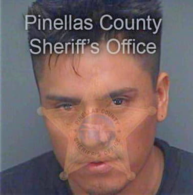 Villalbalopez Rene - Pinellas County, FL 