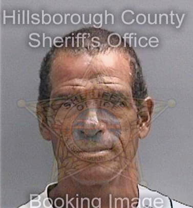 Delgadoalonso Hector - Hillsborough County, FL 