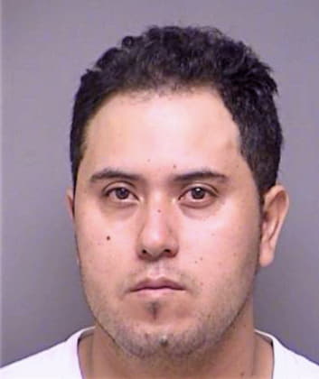 Pichardo Jose - Denton County, TX 