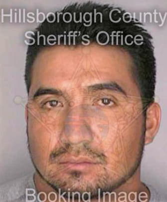 Mejiahernandez Aldolfo - Hillsborough County, FL 