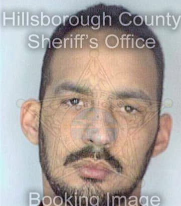 Delarosa Alberto - Hillsborough County, FL 