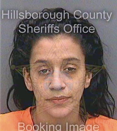 Lopez Greyshlian - Hillsborough County, FL 