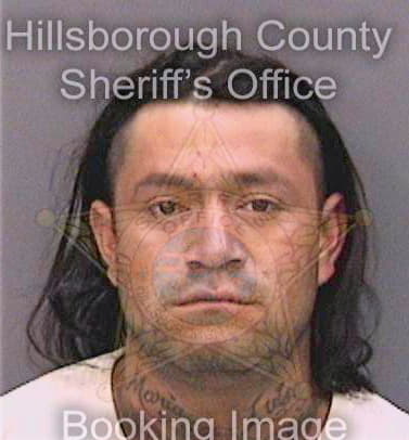 Diego Rafael - Hillsborough County, FL 