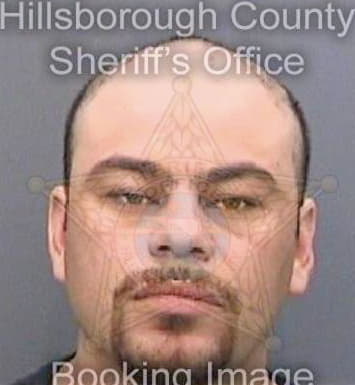 Tamayoramirez Guillermo - Hillsborough County, FL 