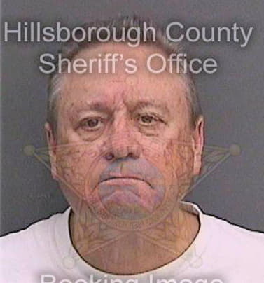 Haney David - Hillsborough County, FL 