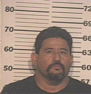 Maldonado Homero - Hidalgo County, TX 