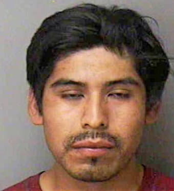 Leijo Jorge - Polk County, FL 