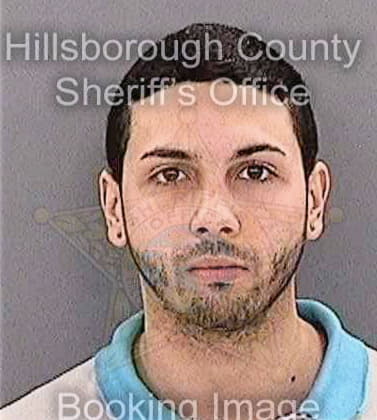 Ramirezgonzalez Jose - Hillsborough County, FL 