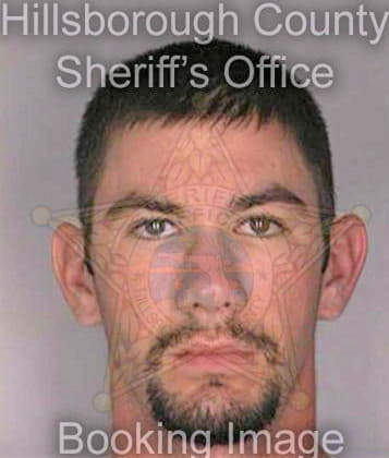 Mcdaniel Brian - Hillsborough County, FL 