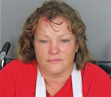 Mcginty Karen - Hillsborough County, FL 
