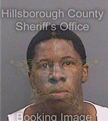 Thelus Kervins - Hillsborough County, FL 