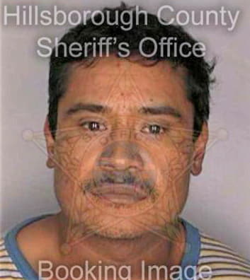 Lopezdiosdado Leonel - Hillsborough County, FL 