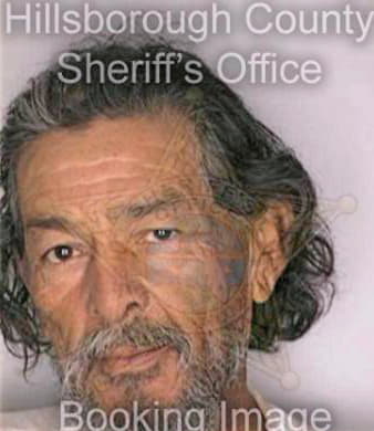 Mendez Rafiel - Hillsborough County, FL 