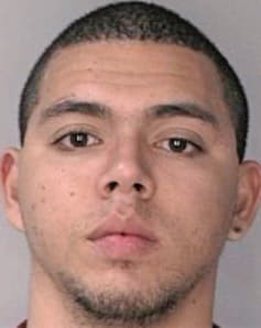 Silva Felipe - Hillsborough County, FL 