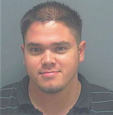 Strohm Anthony - Lee County, FL 