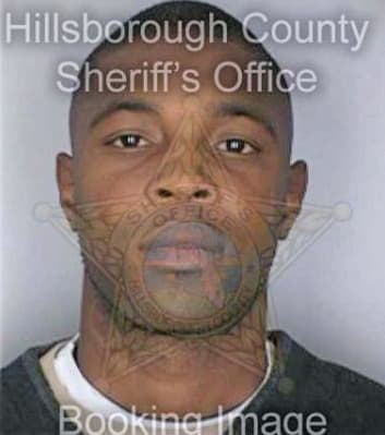 Mckinley George - Hillsborough County, FL 