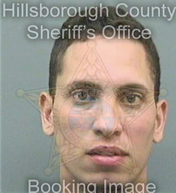 Saldana Ismael - Hillsborough County, FL 