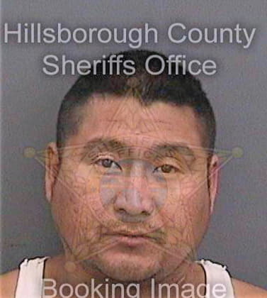 Venegaseligio Jose - Hillsborough County, FL 