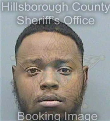 Miles Andre - Hillsborough County, FL 