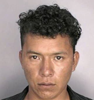 Garcia Daniel - Hillsborough County, FL 