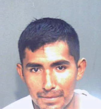 Martinezvargas Luis - Orange County, FL 