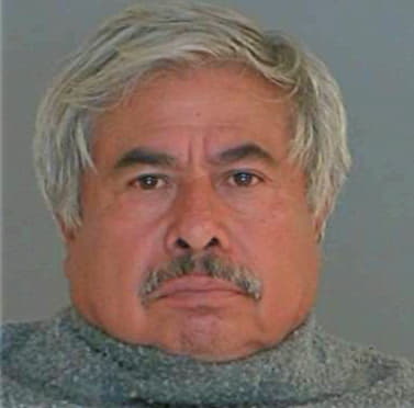 Pineda Robert - Bastrop County, TX 
