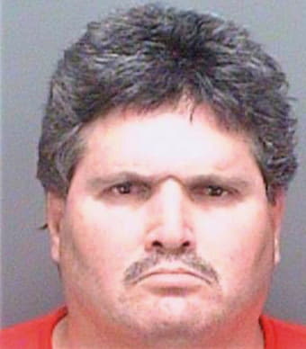Gonzalez Jorge - Pinellas County, FL 
