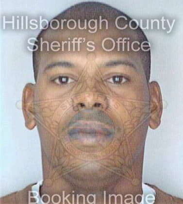 Johnson Rodney - Hillsborough County, FL 