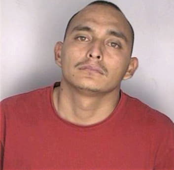 Pina Victor - Hillsborough County, FL 