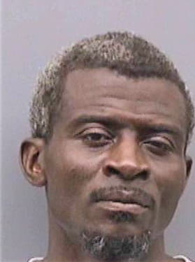 Robinson Andre - Hillsborough County, FL 