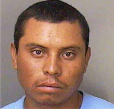 Gonzalez Andres - Polk County, FL 
