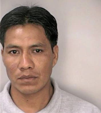 Sueyguarchaj Domingo - Hillsborough County, FL 