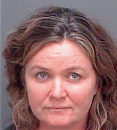 Elliott Donna - Pinellas County, FL 