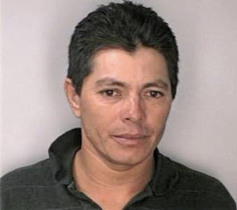 Moreira Jose - Hillsborough County, FL 