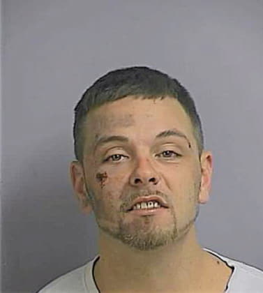 Collins Stephen - Osceola County, FL 