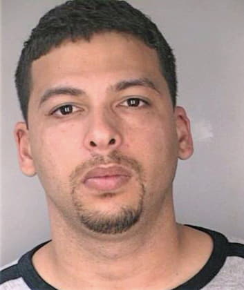 Pineiro Gabriel - Hillsborough County, FL 