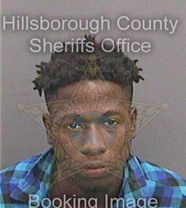 Simmons Justin - Hillsborough County, FL 