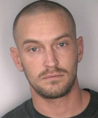 Harris Robin - Hillsborough County, FL 
